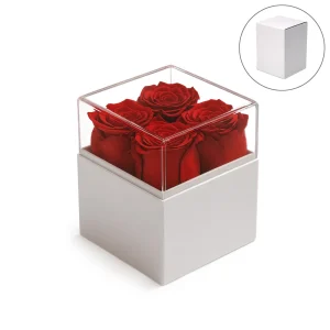 Forever Natural Flowers Gift Box White, Clear Acrylic Lid, 4Pcs Long Life Roses (Set of 2)