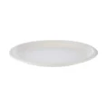 bio-degradable-plate-10-inch-500-pieces-190266