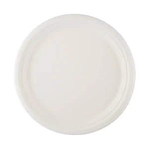 Bio-Degradable Plate 10 Inch 500 Pieces