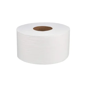 Soft n Cool Paper Toilet Roll 2 Ply 12 Pieces